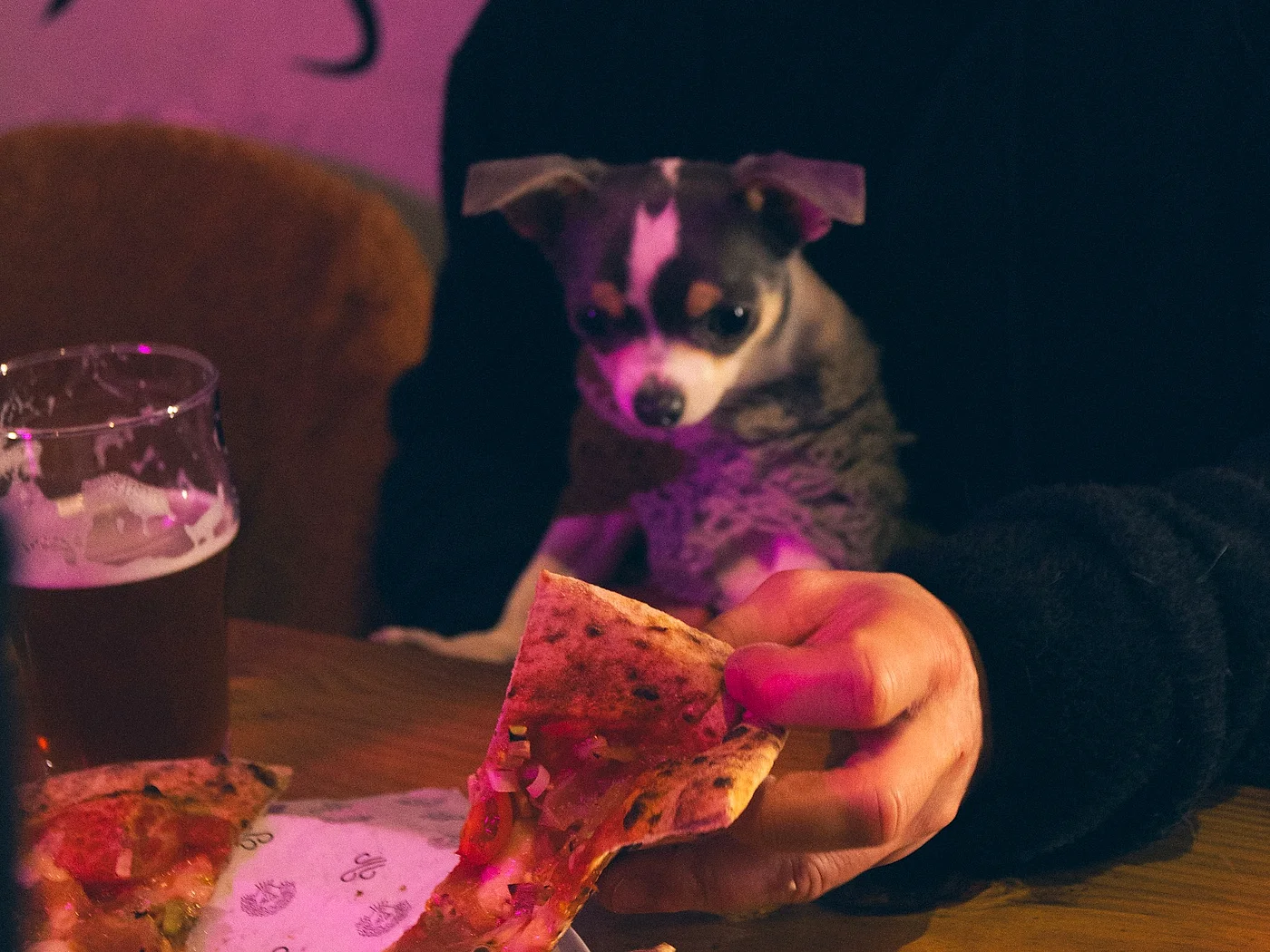 Cliente do PUGA Cassino pegando uma fatia de pizza na mesa, com o chope ao lado e um cachorrinho olhando na cadeira atrás